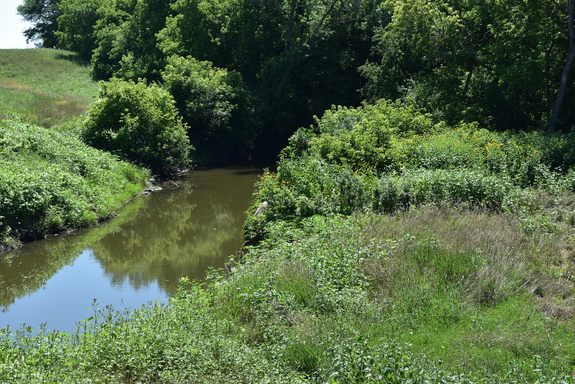 A crew digging the new, remeandered channel of Whiskey Creek.